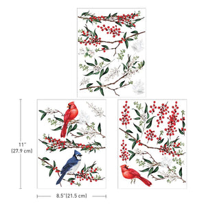 Winterberry - Middy Transfer