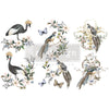 Rare Birds - Mini Transfer - Small Transfer