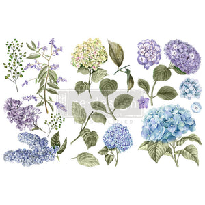 Mystic Hydrangea Small Transfer