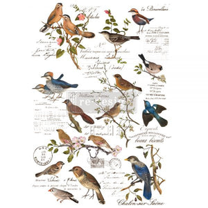 Postal Birds - Redesign Decor Transfer