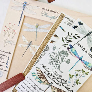 Spring Dragonfly – Redesign Small Transfer