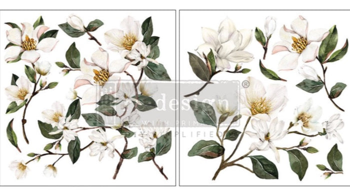Magnolia Garden - Maxi Transfer