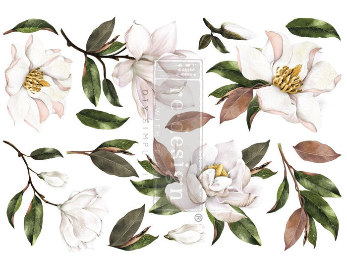 Magnolia Grandiflora - Decor Transfer - Furniture Transfer
