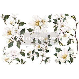 White Magnolia - Redesign Small Transfer
