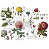 Vintage Botanical (Discontinued) Decor Transfer - Furniture Transfer