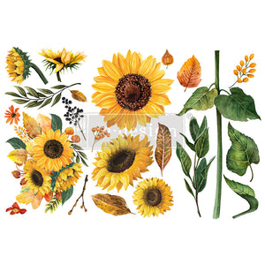 Sunflower Afternoon Small Transfer