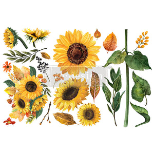 Sunflower Afternoon - Redesign Small Transfer