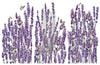 Champs de Lavende - Decor Transfer - Furniture Transfer