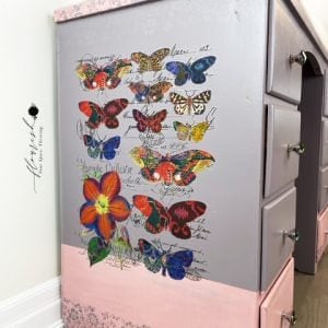 BOHO BIRD and BUTTERFLY - Rub On Transfer for Furniture - Free Shipping- !