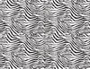 Zebra - Rub On Furniture Decor Transfer, Redesign with Prima - 24&quot;x32&quot; Same Day Shipping!