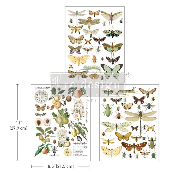 Bug Whisperer - Middy Transfer - Redesign with Prima