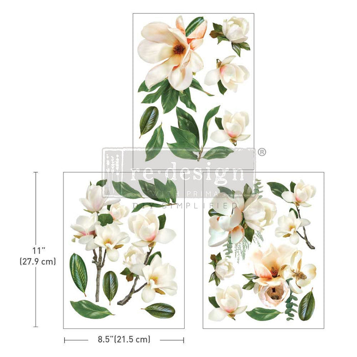 La Gran Magnolia - Middy Transfer by redesign with Prima