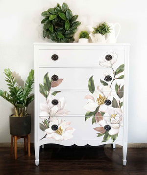 Magnolia Grandiflora - Decor Transfer - image 4